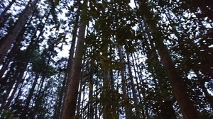 平成の最後に・・・
