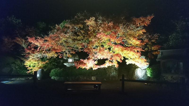 紅葉